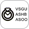 VSGU